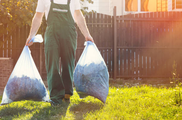 Best Dumpster Rental Services  in New California, OH